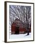 Barn and maple after snowfall, Fairfax County, Virginia, USA-Charles Gurche-Framed Premium Photographic Print