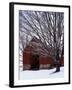 Barn and maple after snowfall, Fairfax County, Virginia, USA-Charles Gurche-Framed Premium Photographic Print