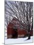 Barn and maple after snowfall, Fairfax County, Virginia, USA-Charles Gurche-Mounted Premium Photographic Print