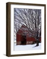 Barn and maple after snowfall, Fairfax County, Virginia, USA-Charles Gurche-Framed Photographic Print