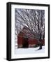 Barn and maple after snowfall, Fairfax County, Virginia, USA-Charles Gurche-Framed Photographic Print