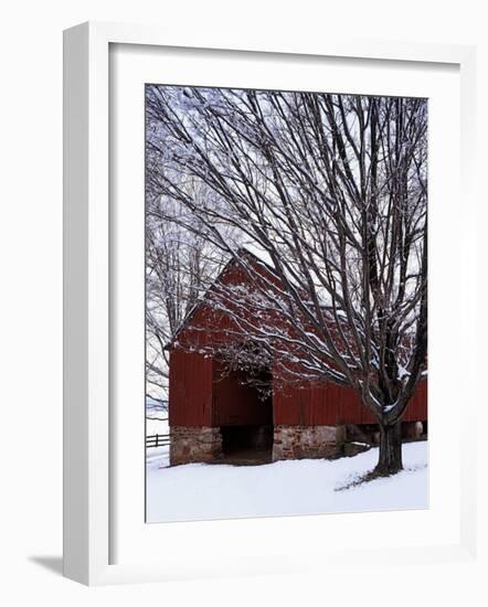 Barn and maple after snowfall, Fairfax County, Virginia, USA-Charles Gurche-Framed Photographic Print