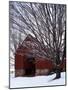 Barn and maple after snowfall, Fairfax County, Virginia, USA-Charles Gurche-Mounted Photographic Print