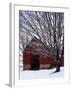 Barn and maple after snowfall, Fairfax County, Virginia, USA-Charles Gurche-Framed Photographic Print