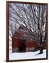 Barn and maple after snowfall, Fairfax County, Virginia, USA-Charles Gurche-Framed Photographic Print