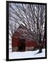 Barn and maple after snowfall, Fairfax County, Virginia, USA-Charles Gurche-Framed Photographic Print