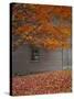 Barn and Maple Tree in Autumn, Vermont, USA-Scott T. Smith-Stretched Canvas