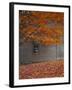 Barn and Maple Tree in Autumn, Vermont, USA-Scott T. Smith-Framed Photographic Print