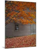 Barn and Maple Tree in Autumn, Vermont, USA-Scott T. Smith-Mounted Photographic Print