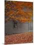 Barn and Maple Tree in Autumn, Vermont, USA-Scott T. Smith-Mounted Photographic Print