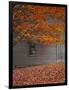 Barn and Maple Tree in Autumn, Vermont, USA-Scott T. Smith-Framed Photographic Print