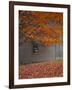 Barn and Maple Tree in Autumn, Vermont, USA-Scott T. Smith-Framed Premium Photographic Print