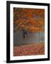 Barn and Maple Tree in Autumn, Vermont, USA-Scott T. Smith-Framed Premium Photographic Print