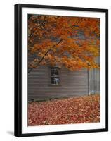 Barn and Maple Tree in Autumn, Vermont, USA-Scott T. Smith-Framed Premium Photographic Print