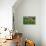 Barn and Minarda 1-Robert Goldwitz-Photographic Print displayed on a wall