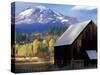 Barn and Mount Adams, Trout Lake, Washington, USA-William Sutton-Stretched Canvas