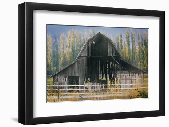 Barn and Poplars-David Winston-Framed Giclee Print