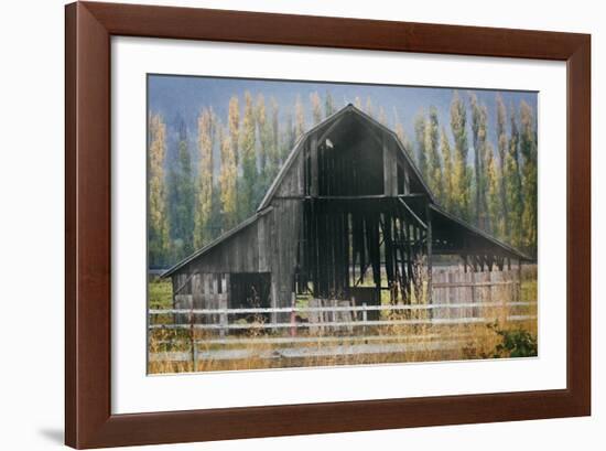 Barn and Poplars-David Winston-Framed Giclee Print