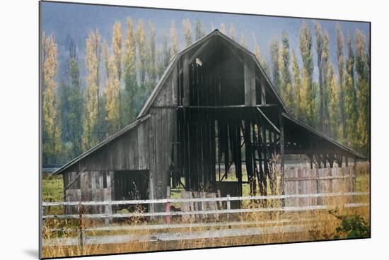 Barn and Poplars-David Winston-Mounted Giclee Print