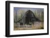 Barn and Poplars-David Lorenz Winston-Framed Art Print