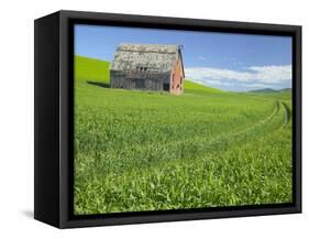 Barn and Vehicle Tracks in Wheat Field in Idaho-Darrell Gulin-Framed Stretched Canvas