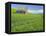 Barn and Vehicle Tracks in Wheat Field in Idaho-Darrell Gulin-Framed Stretched Canvas