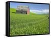 Barn and Vehicle Tracks in Wheat Field in Idaho-Darrell Gulin-Framed Stretched Canvas
