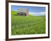 Barn and Vehicle Tracks in Wheat Field in Idaho-Darrell Gulin-Framed Photographic Print