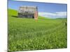 Barn and Vehicle Tracks in Wheat Field in Idaho-Darrell Gulin-Mounted Photographic Print