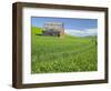 Barn and Vehicle Tracks in Wheat Field in Idaho-Darrell Gulin-Framed Photographic Print