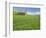 Barn and Vehicle Tracks in Wheat Field in Idaho-Darrell Gulin-Framed Photographic Print