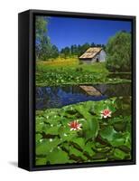 Barn and Waterlilies-Steve Terrill-Framed Stretched Canvas