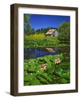 Barn and Waterlilies-Steve Terrill-Framed Photographic Print