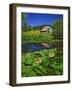 Barn and Waterlilies-Steve Terrill-Framed Photographic Print