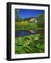 Barn and Waterlilies-Steve Terrill-Framed Photographic Print