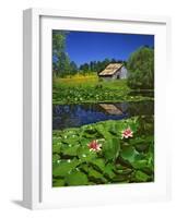 Barn and Waterlilies-Steve Terrill-Framed Photographic Print