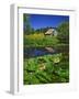 Barn and Waterlilies-Steve Terrill-Framed Photographic Print