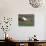 Barn and Windmill in Colfax, Palouse Region, Washington, USA-Adam Jones-Photographic Print displayed on a wall