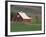 Barn and Windmill in Colfax, Palouse Region, Washington, USA-Adam Jones-Framed Photographic Print