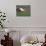 Barn and Windmill in Colfax, Palouse Region, Washington, USA-Adam Jones-Mounted Photographic Print displayed on a wall