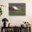 Barn and Windmill in Colfax, Palouse Region, Washington, USA-Adam Jones-Photographic Print displayed on a wall