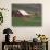 Barn and Windmill in Colfax, Palouse Region, Washington, USA-Adam Jones-Photographic Print displayed on a wall