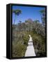 Barn Bluff on the Overland Track, Tasmania, Australia-Julian Love-Framed Stretched Canvas