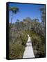 Barn Bluff on the Overland Track, Tasmania, Australia-Julian Love-Framed Stretched Canvas