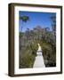 Barn Bluff on the Overland Track, Tasmania, Australia-Julian Love-Framed Photographic Print