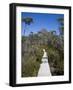 Barn Bluff on the Overland Track, Tasmania, Australia-Julian Love-Framed Photographic Print