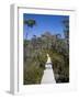 Barn Bluff on the Overland Track, Tasmania, Australia-Julian Love-Framed Photographic Print