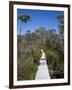 Barn Bluff on the Overland Track, Tasmania, Australia-Julian Love-Framed Photographic Print