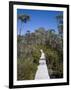 Barn Bluff on the Overland Track, Tasmania, Australia-Julian Love-Framed Photographic Print