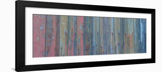 Barn Board-Brenda Petrella Photography LLC-Framed Giclee Print